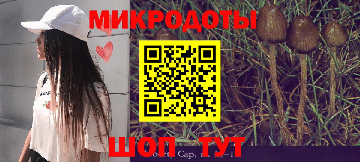 Псилоцибиновые грибы Cubensis Воткинск